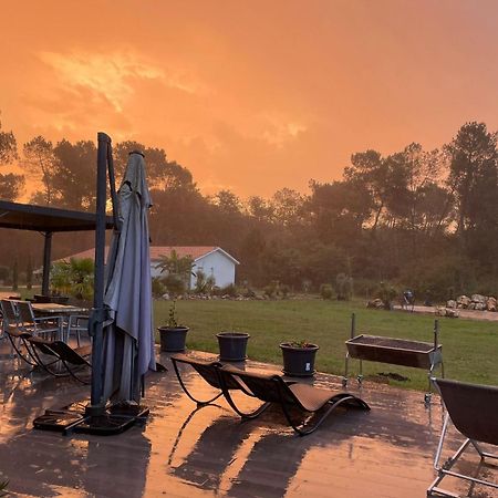 L'Hotel Du Lac Casteljaloux Dış mekan fotoğraf